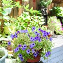 매직스튜디오 이미지