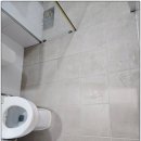 피톤치드컴퍼니 이미지