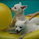 어부바펜션 이미지