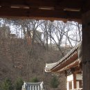 부호장 티스토리