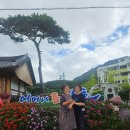 힐링우드2 | 장흥편백우드랜드 후기｜편백나무숲에서 조용히 걸어본 하루