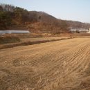 [매물번호 31159] 대지 (1203평) 용도지역: 농림지역 (답), 지평역2분, 지방도인접... 이미지