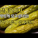 오이지 티스토리