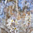 탕정초등학교 이미지