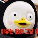 호호수제돈까스