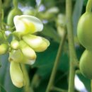 우석초등학교 이미지