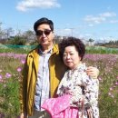 처제수산