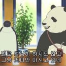 (주)모음