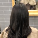 헤어끌레오 이미지