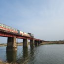 비비정 상생 도시숲 이미지