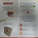 브리오