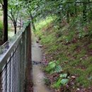 동백고등학교 이미지