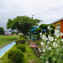 무지개가 피어나는 이미지