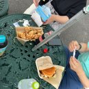 코뿔소카서비스 | [아프리칸 사파리] 벳푸 아프리칸 사파리 렌트카 투어 후기 (재입장 가능)