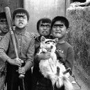 골목대장 이미지