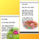 백암초등학교 이미지