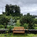 의귀하루 이미지