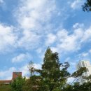 내정중학교.한솔4.5단지 이미지