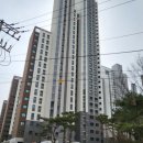 237가이오