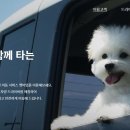 펫미업 이미지