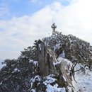 학림동 Daum카페
