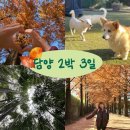 담양좋은약국 | [전라도 여행, Ep.2]담양 2박 3일 코스 추천(가을 단풍)