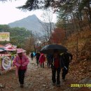 지천초등학교 이미지