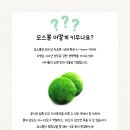 그린그로잉
