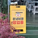 온냉비콩