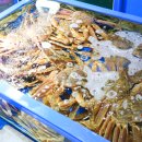 대명수산 이미지