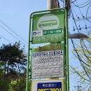 덕성세탁소 | 일반인 프로필사진 추천 바이올렛 스탠다드 특별한 촬영 후기