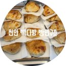 천안천 | 천안 빽다방 빵연구소 DT/ 용곡동 베이커리 카페 천안천 주변 빵 맛집 내 돈 내산 후기