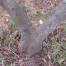 경수농장 이미지