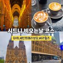 세인트힐즈 | 시드니 비오는날 일정 추천, 퀸빅토리아빌딩·세인트메리대성당·써리힐즈 카페