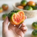 토마토 이미지