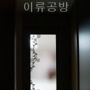 해당화드레스