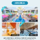 신세계관광여행사 - 사천시 대밭담1길 22 | 세레나호 5박 6일 크루즈여행 아시아 3개국 부산신세계여행사 사세보·상하이·서귀포 후기 정보 요약