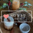 루루농장 | [인천 카페] 영종도 오션뷰 카페 바다앞농장 솔직후기