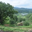 한솔펜션 이미지