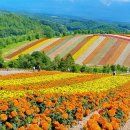 레인보우로드 네이버블로그