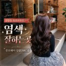 준오 호텔 | [서울 상암동 미용실] 초코브라운 염색 잘하는곳 추천 (준오헤어 상암DMC점)