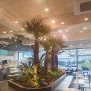 이곡 | 대구 달서구 24시간 카페 찾는다면, 에이바우트커피 성서이곡점 가성비 후기