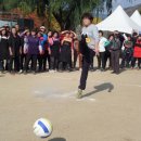 정선 공설운동장 이미지