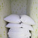 횡성펜션 숲속의쥬얼리 이미지