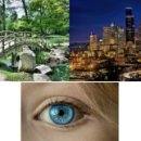 파란나무 유치원 이미지