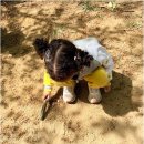 일동예일어린이집 네이버블로그