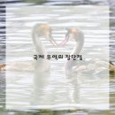 국제무역 이미지