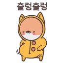 출근길 강아지 유치원 네이버블로그