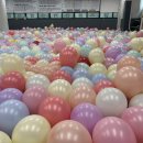 석사한국태권도장 이미지