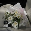 나누크 | 미니 5도어 나누크 화이트 출고 후기